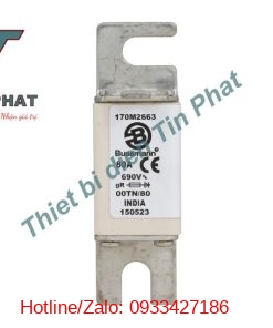 Cầu Chì Bussmann 80a 690v 170m2663 (1)