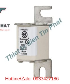 Cầu Chì Bussmann 80a 690v 170m2663 (2)