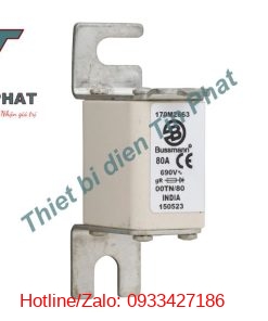 Cầu Chì Bussmann 80a 690v 170m2663 (3)