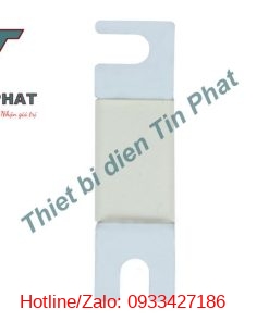 Cầu Chì Bussmann 80a 690v 170m2663 (4)