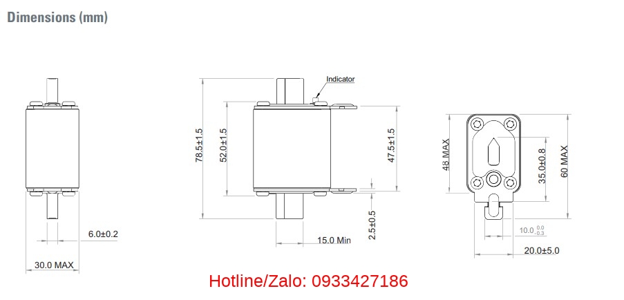 Cau Chi Bussmann Cat Nhanh 690v 170m2673 170m2675